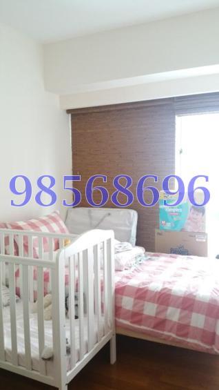 Iridium (D11), Apartment #110883902